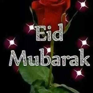 Meet your Posher, Miski